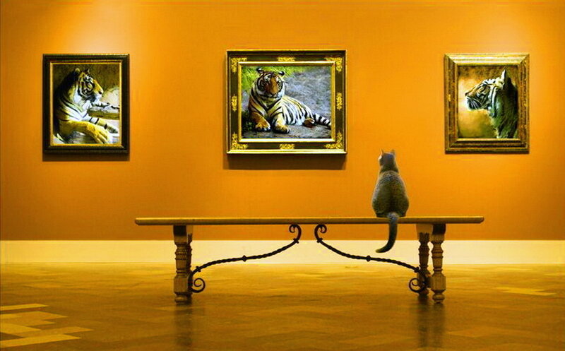 Cat Viewing Tiger Paintings — Orange