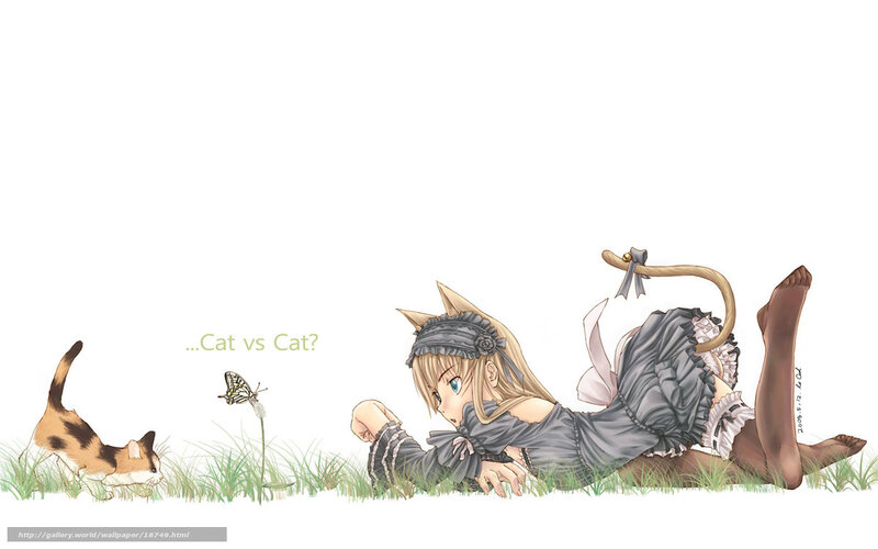 Cat vs Cat?