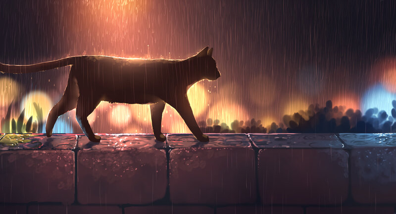 Cat Walking in Rain