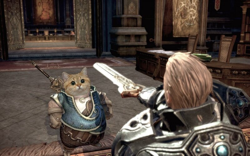 cat warrior in a castle