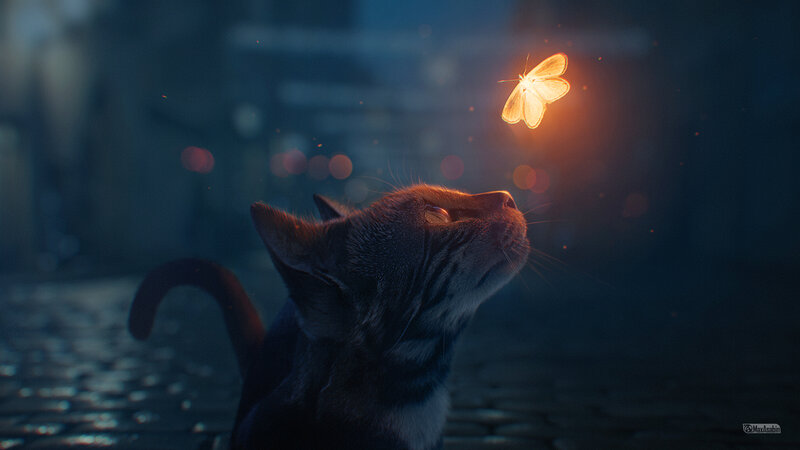 Cat Watching a Moth