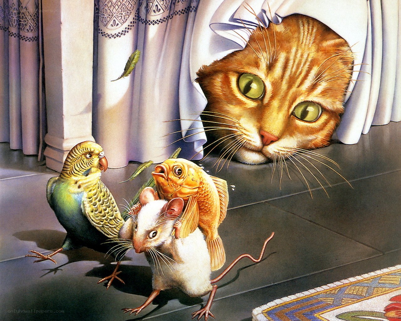 Cat watching animals in a room