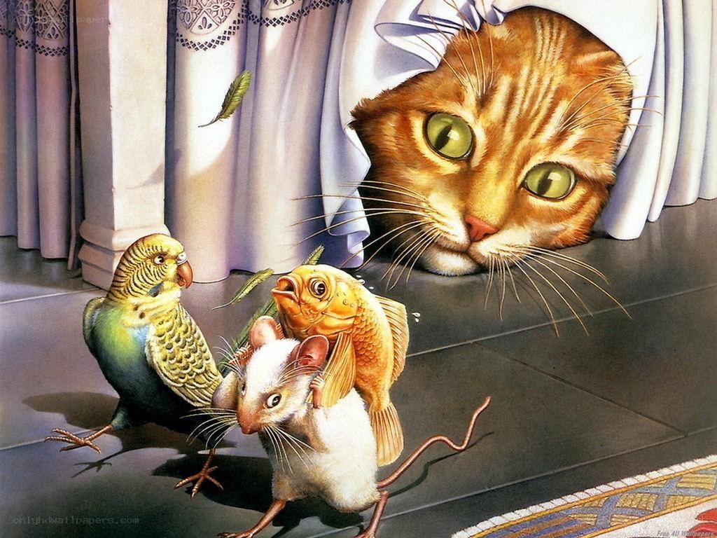 Cat watching animals in a room