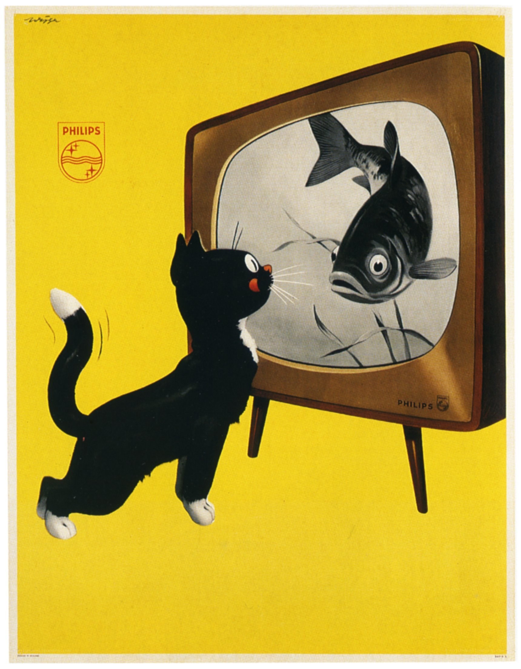 cat watching fish on tv