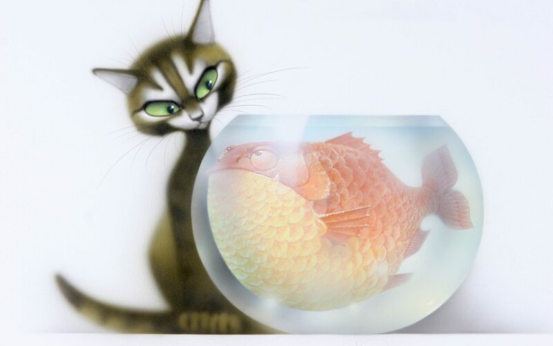Cat Watching Fish — White
