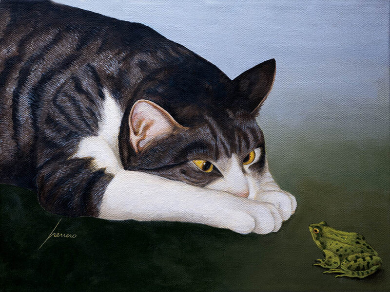 Cat Watching Frog