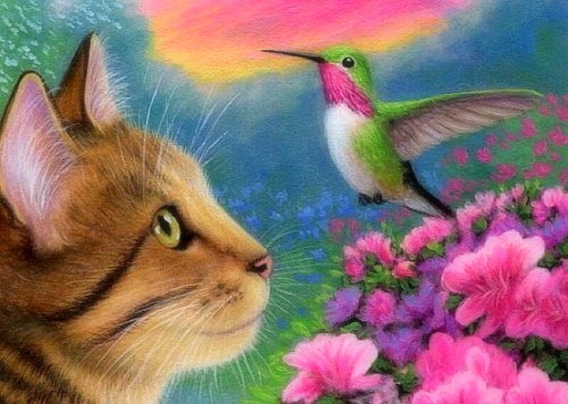 Cat Watching Hummingbird
