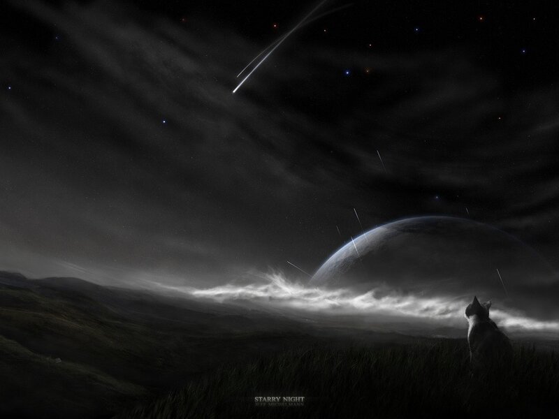 Cat Watching Meteor Shower — Black, Dramatic, Night, Digital Art