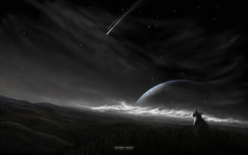 Cat Watching Meteor Shower — Black, Dramatic