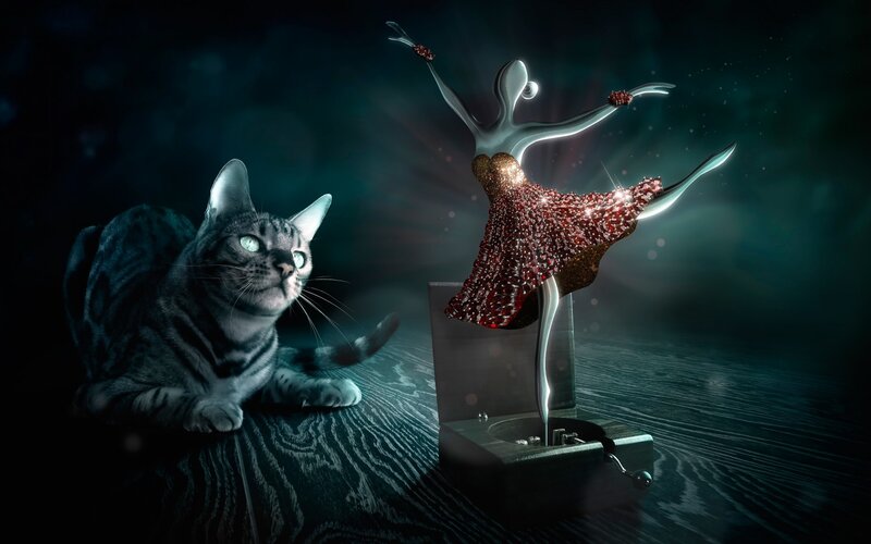 Cat Watching Music Box
