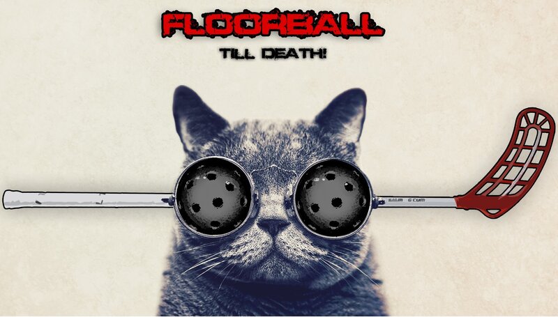 Cat Wearing Floorball Stick