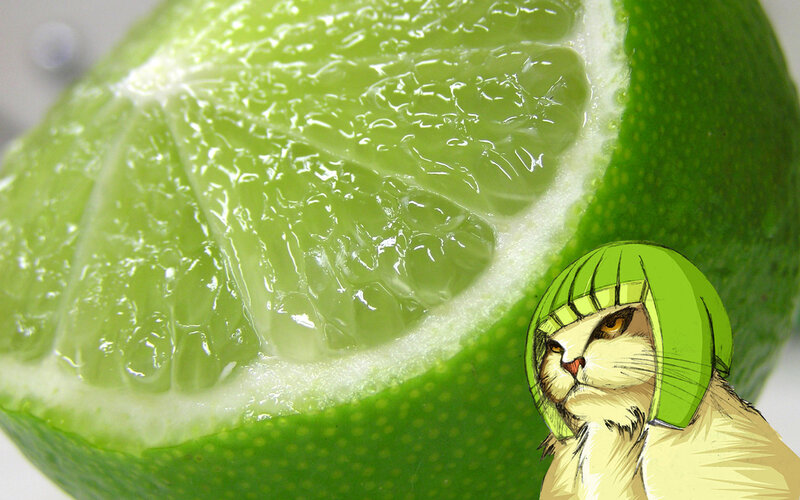 Cat Wearing Lime Hat