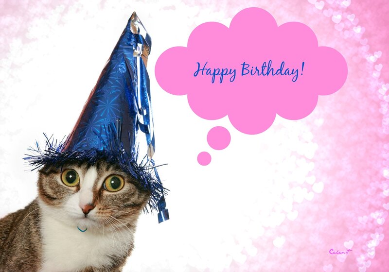 Cat Wearing Party Hat — Pink