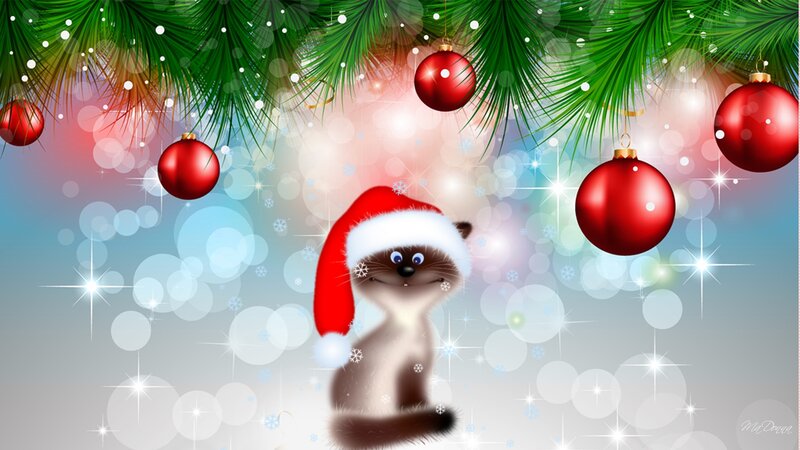 Cat Wearing Santa Hat — Green