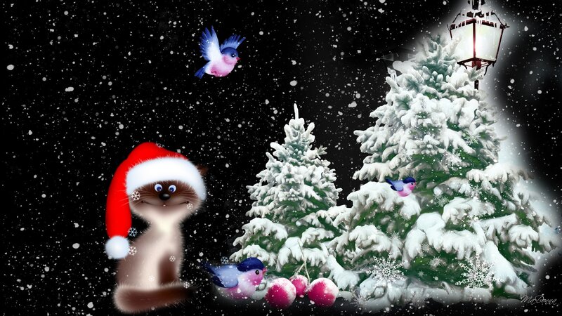 Cat Wearing Santa Hat — White, Festive