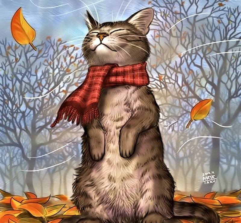 Cat Wearing Scarf