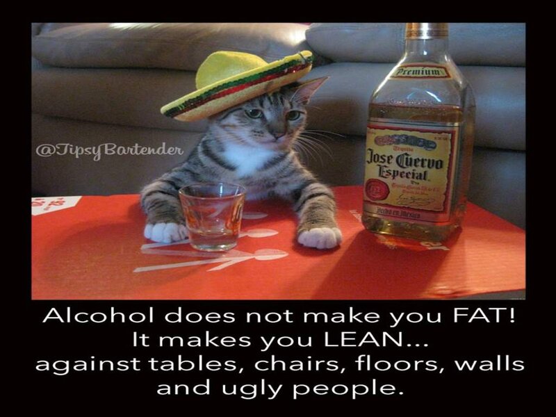 Cat Wearing Sombrero
