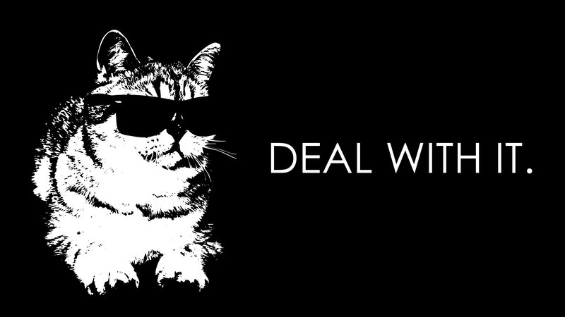 Cat Wearing Sunglasses — Black, Confident