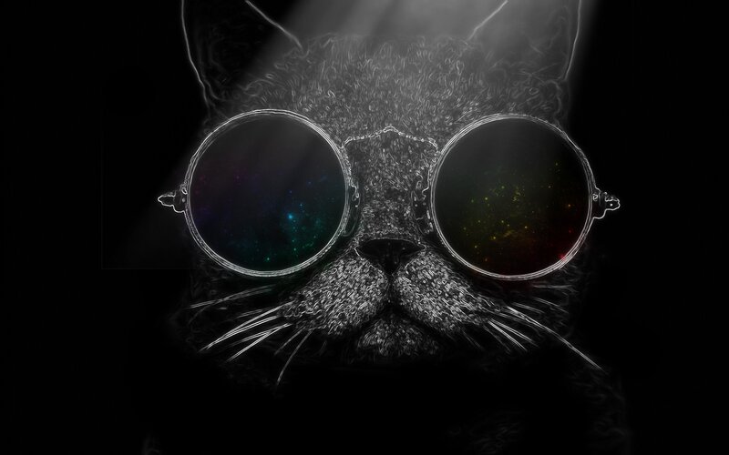 Cat Wearing Sunglasses — Black, Dramatic