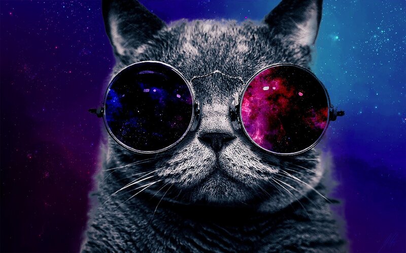 Cat Wearing Sunglasses — Purple