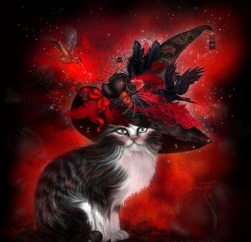 Cat Wearing Witch Hat — Red
