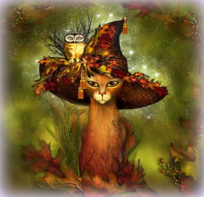 Cat Wearing Witch Hat