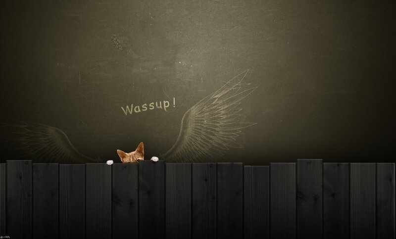 Cat with Angel Wings — Black, Mysterious