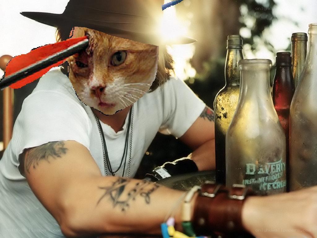 cat with arrow in head