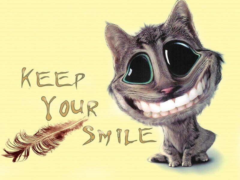 cat with big smile