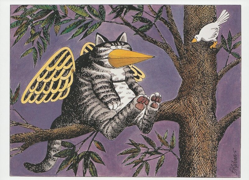 Cat with Bird Beak