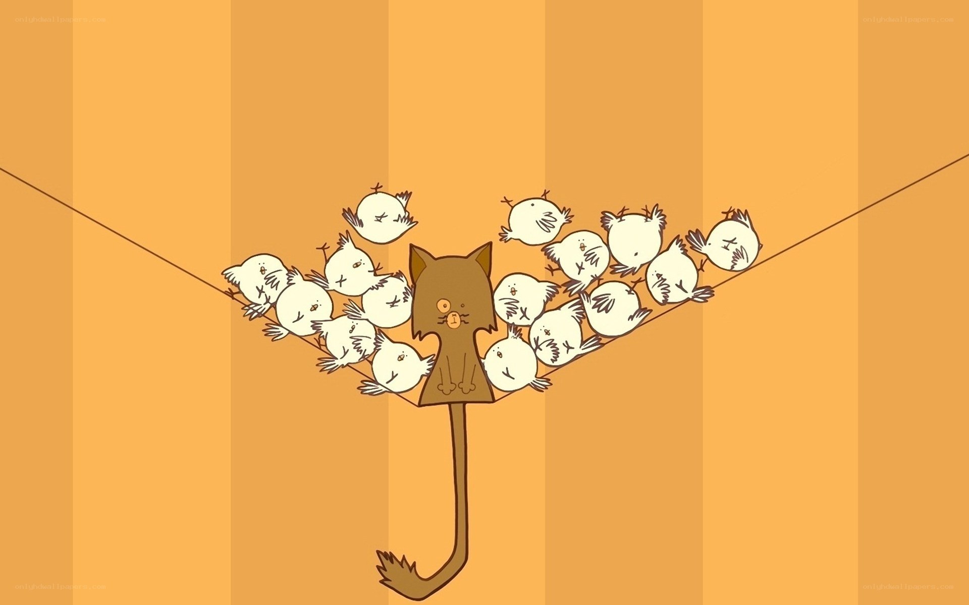 Cat with birds on a wire