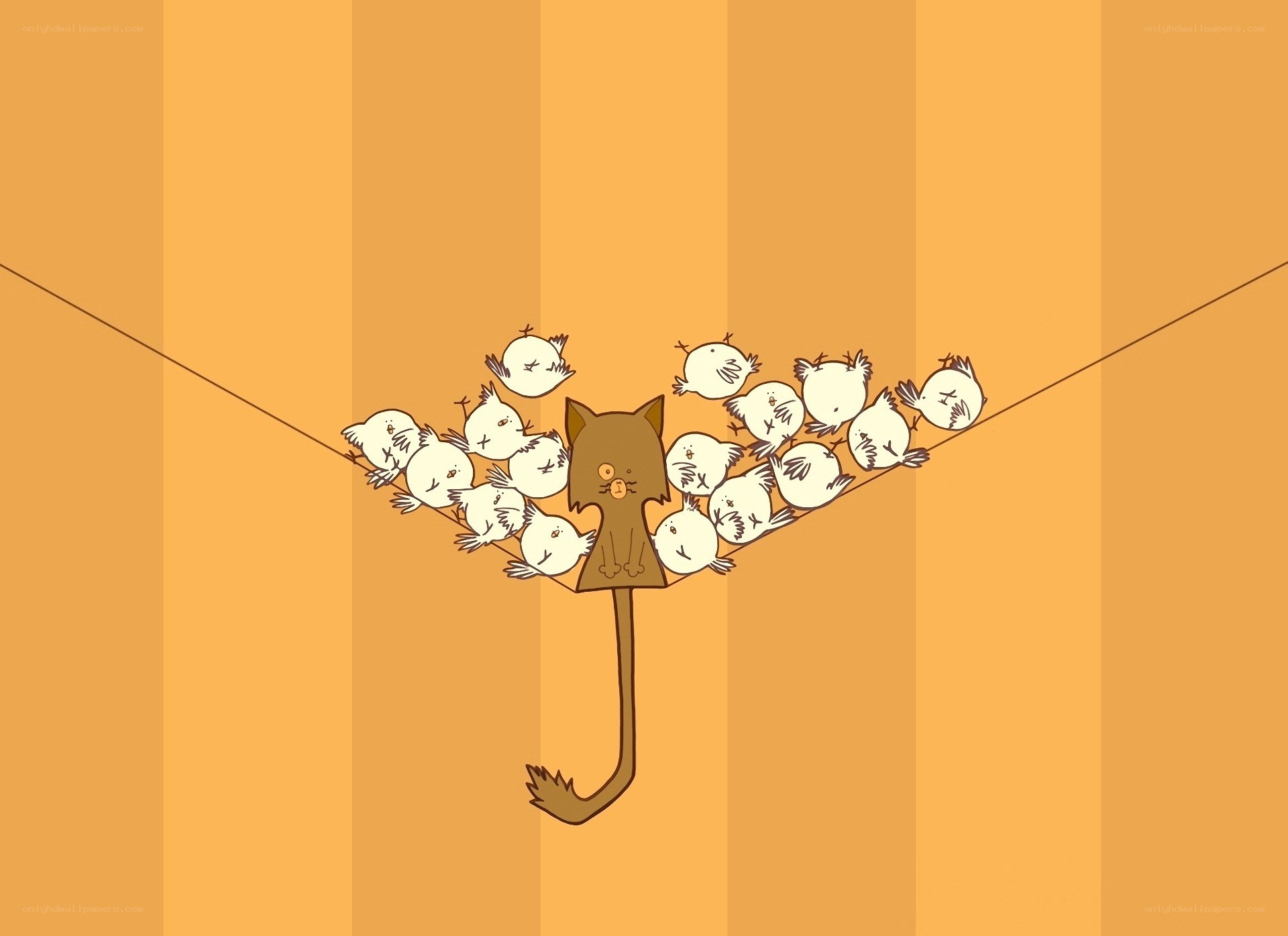 Cat with birds on a wire