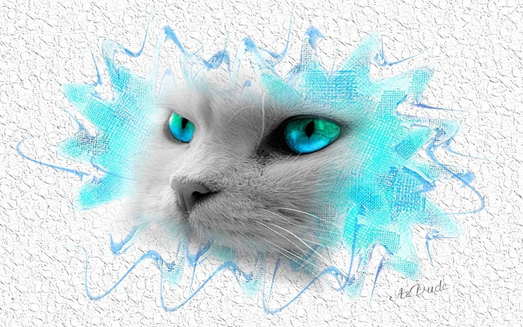 cat with blue eyes artwork