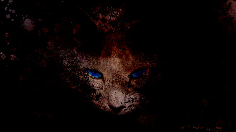 Cat with Blue Eyes — Black, Dark