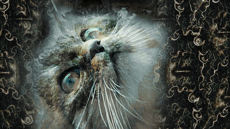 Cat with Blue Eyes — Black, Mystical