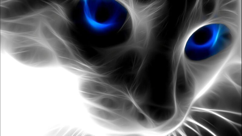 Cat with Blue Eyes — Dramatic, Digital Art