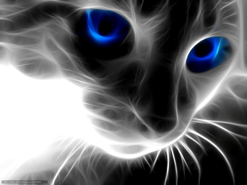 Cat with Blue Eyes — Dramatic, Digital Art, Whiskers, Flame Effect