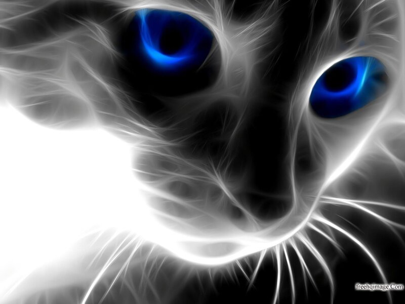Cat with Blue Eyes — Dramatic, Digital Art, Whiskers