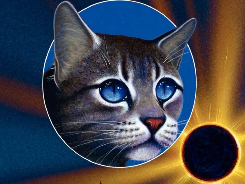 Cat with Blue Eyes — Dramatic, Illustration