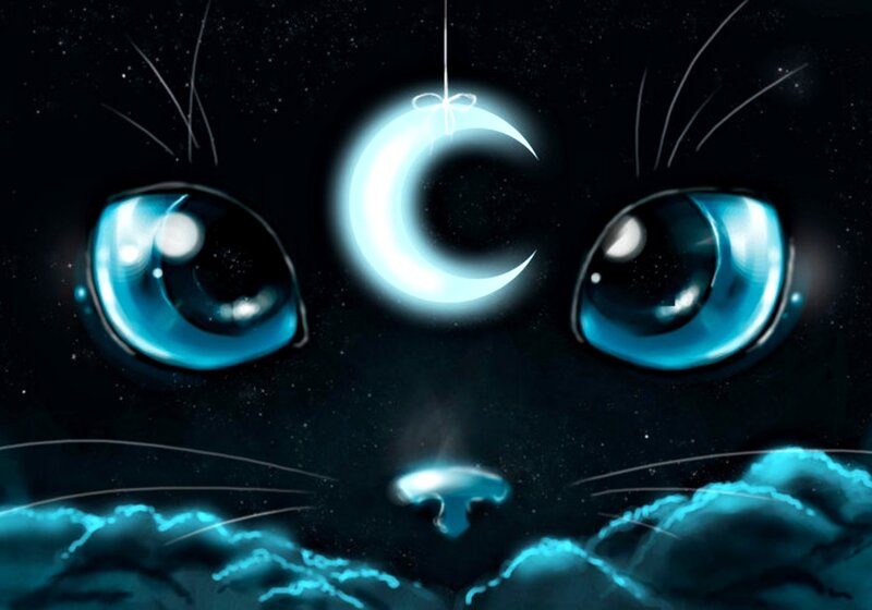 Cat with Blue Eyes — Mystical