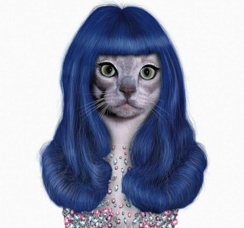 Cat with Blue Wig