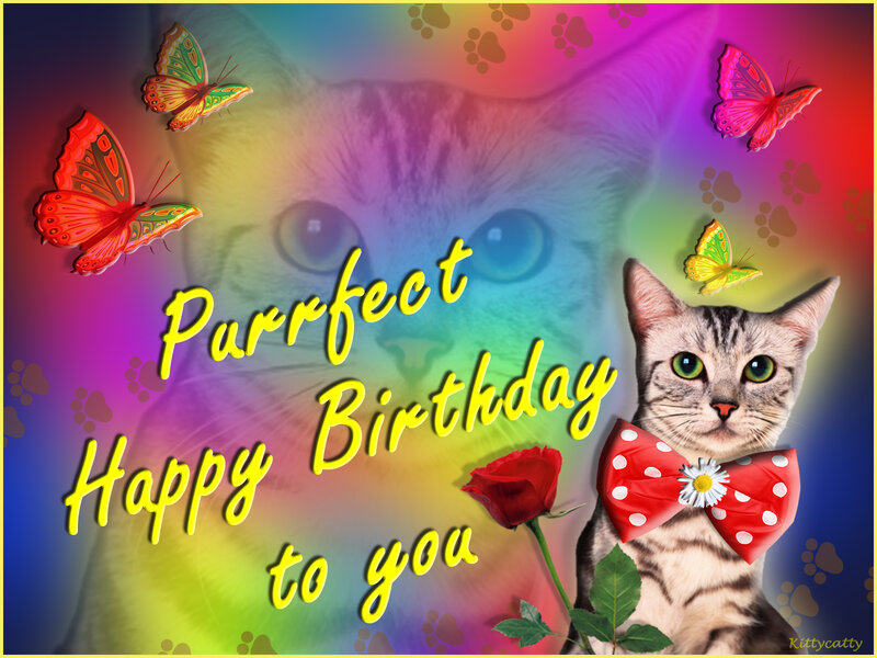 Cat with Bow Tie — Rainbow