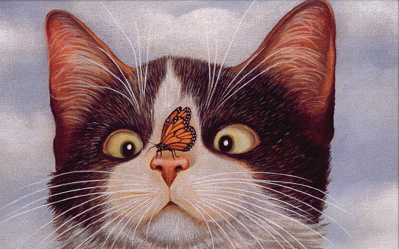 Cat with Butterfly