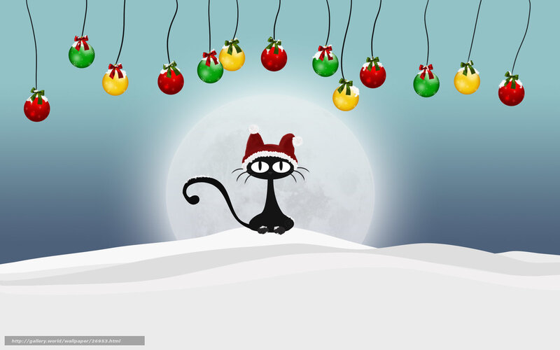cat with christmas ornaments