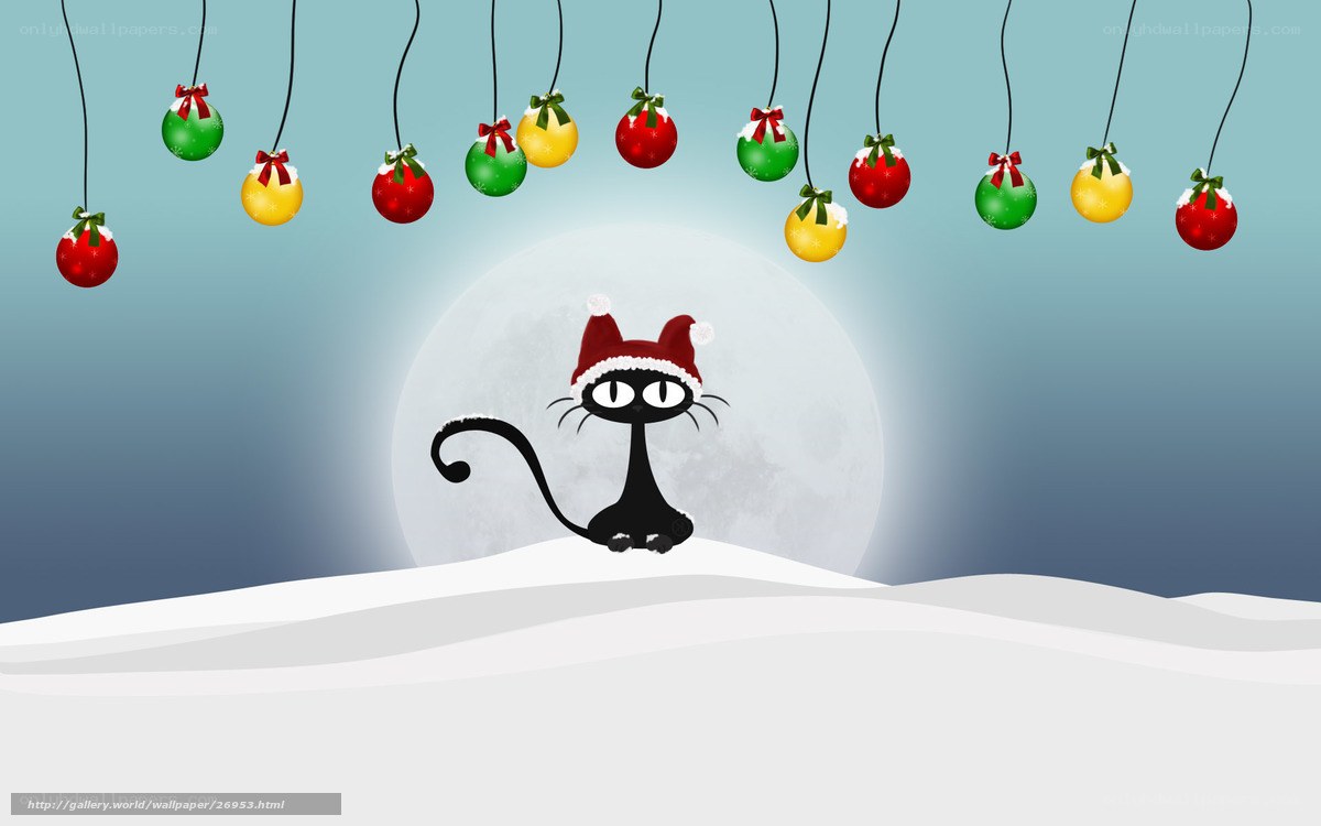 cat with christmas ornaments