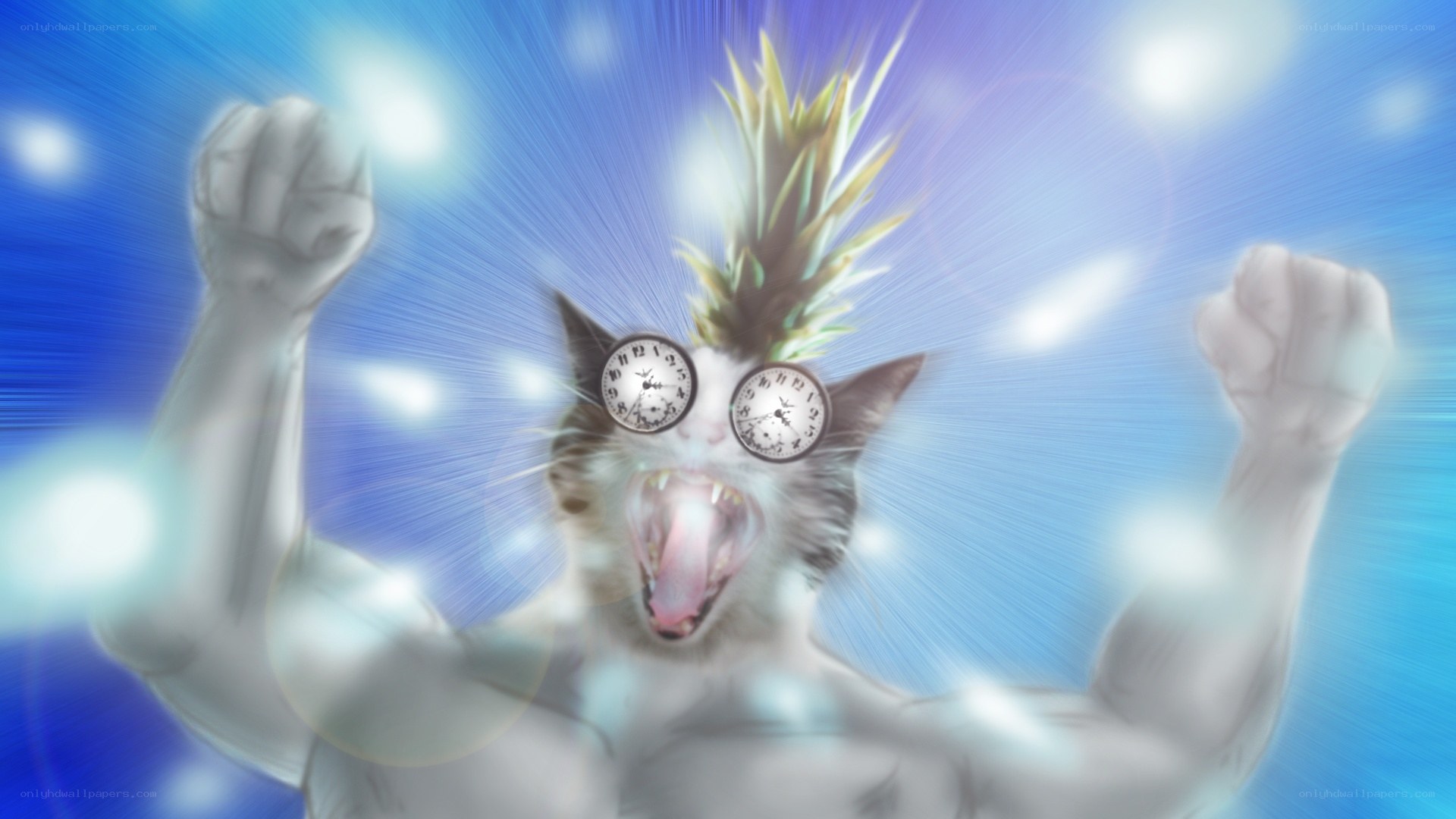 cat with clocks for eyes