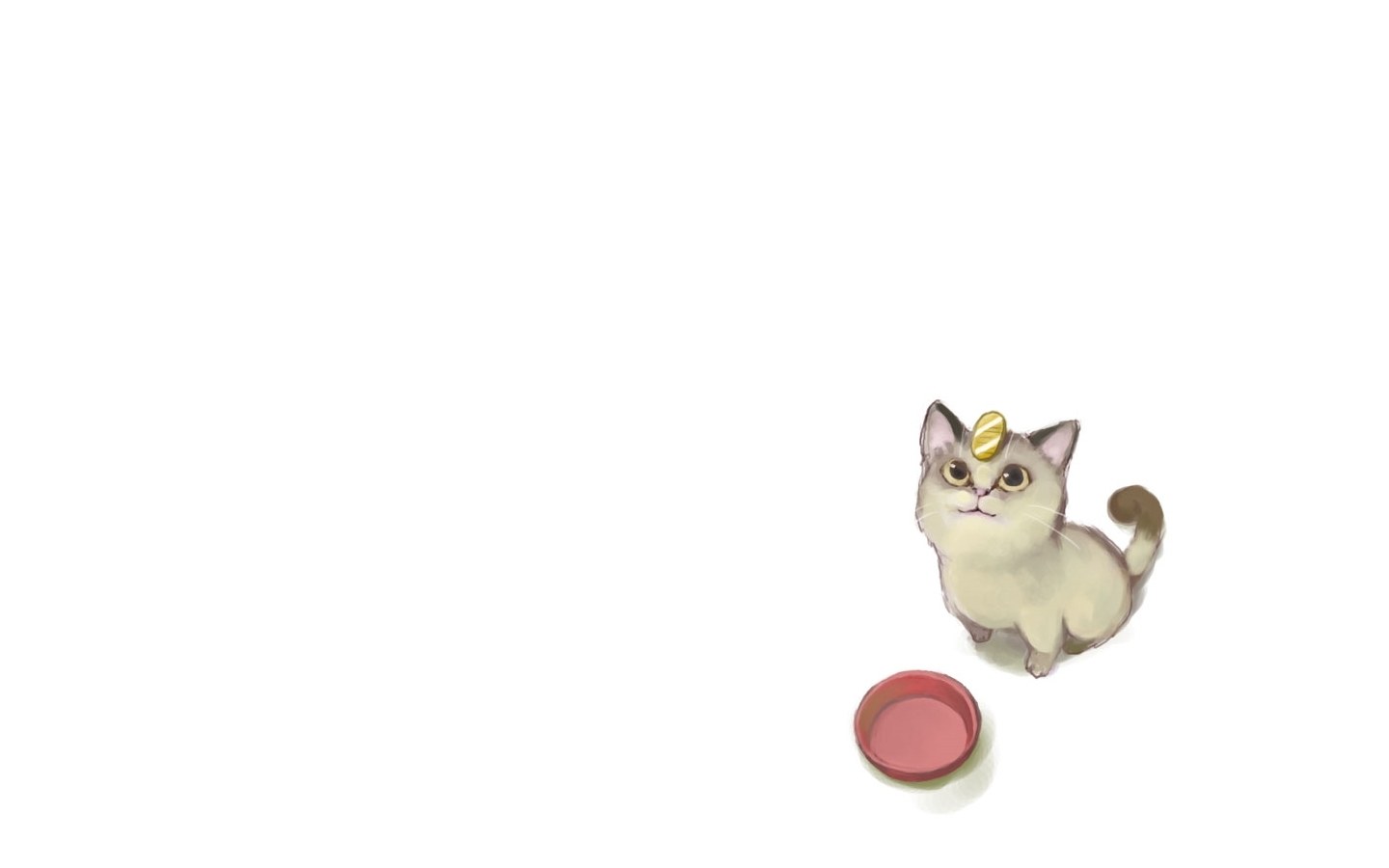 cat with coin on head