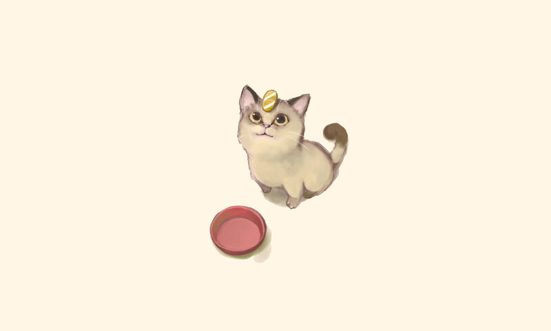 cat with coin on head