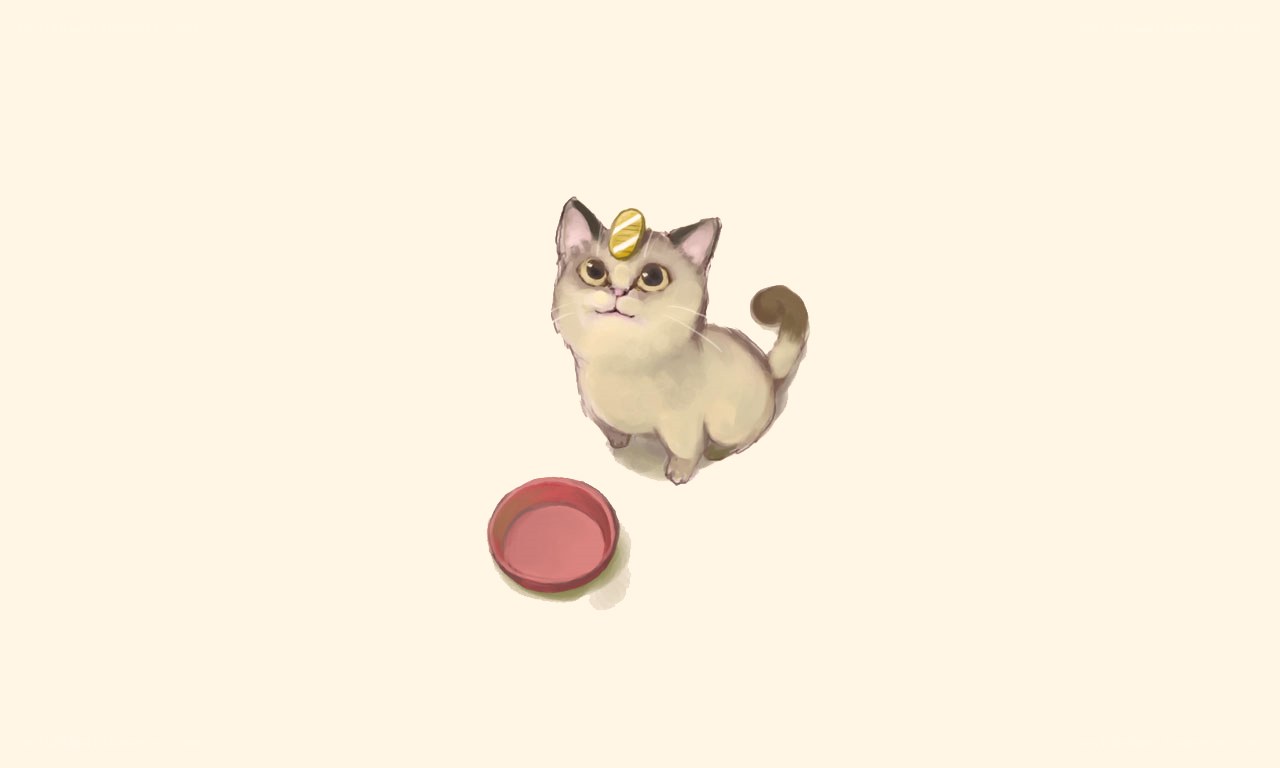 cat with coin on head
