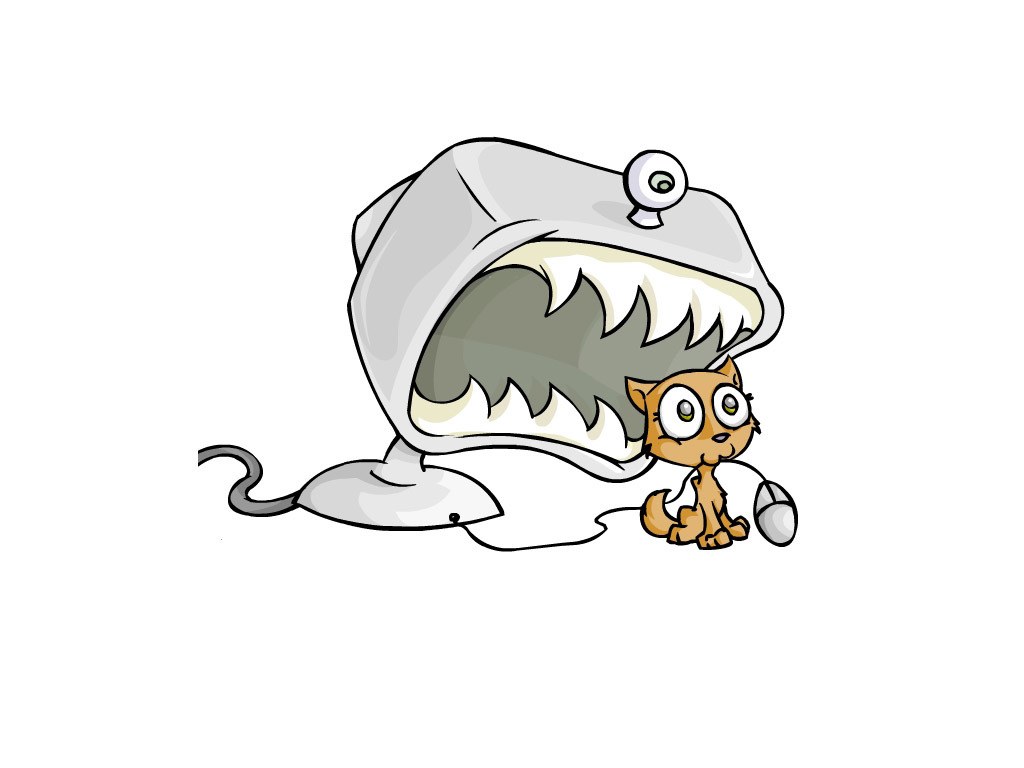 cat with computer shark